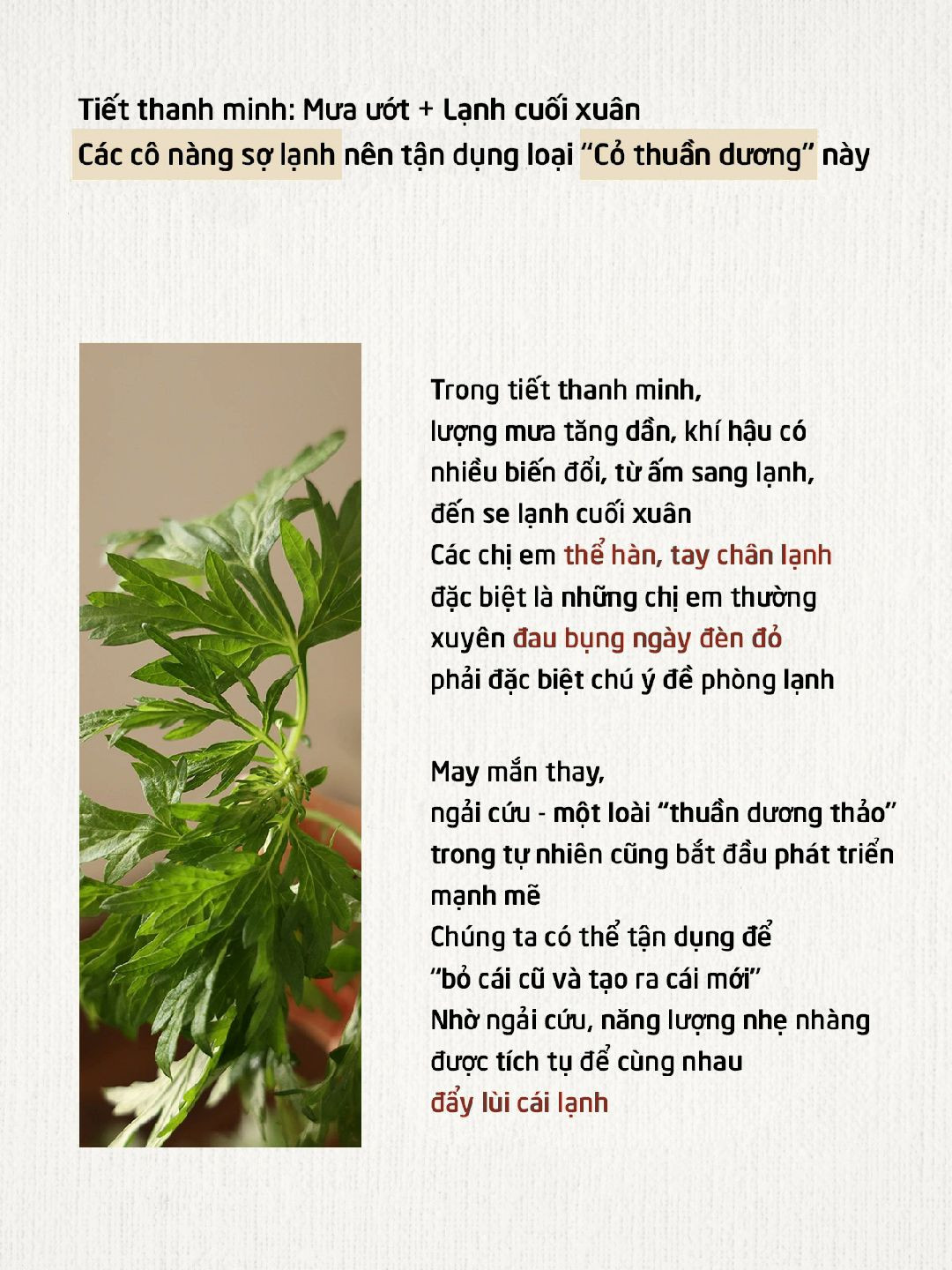 Súp trứng ngải cứu: Món ăn thanh mát, bổ sung khí huyết cho ngày đèn đỏ