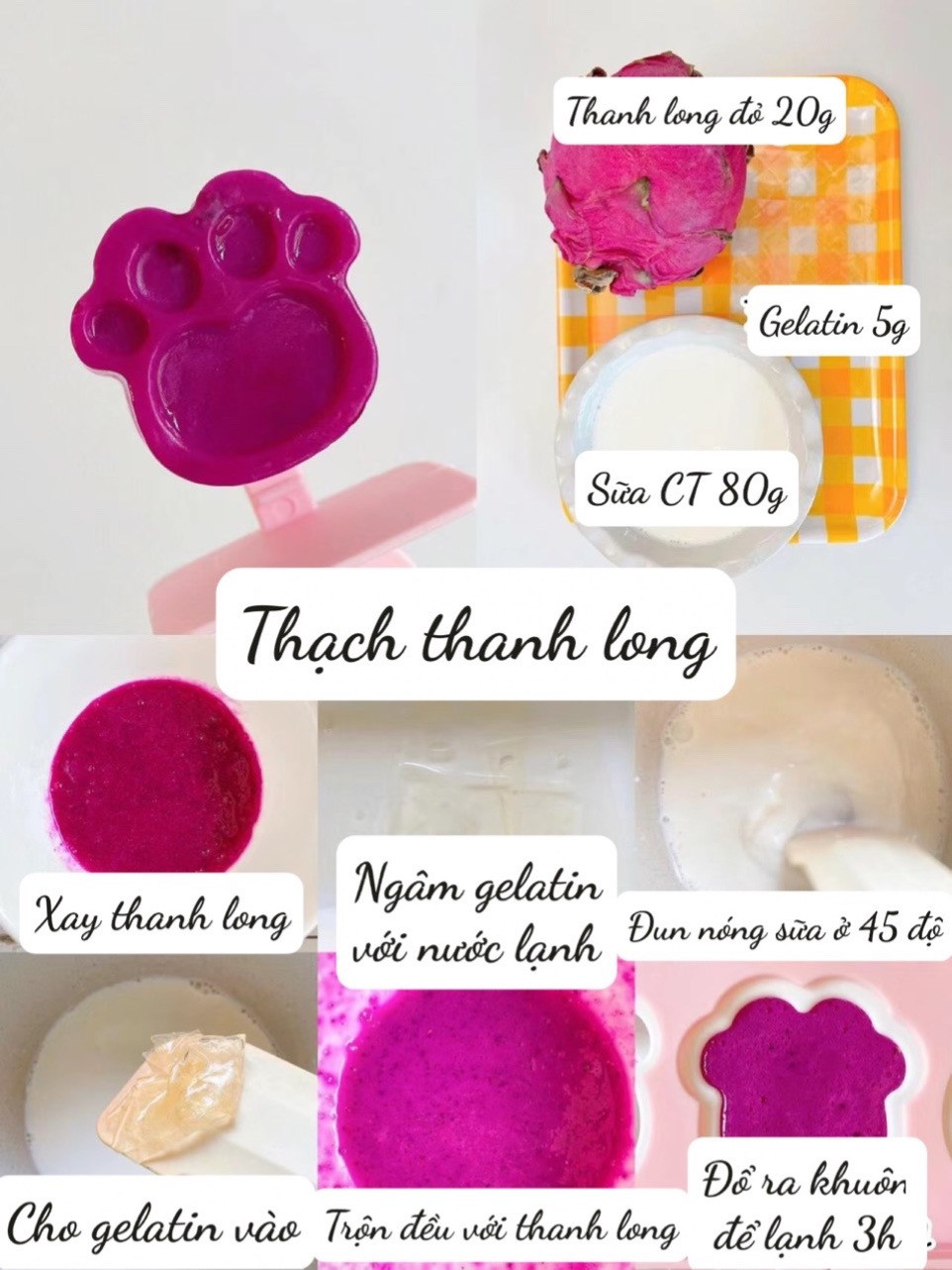 Thạch Trái Cây Cho Bé: Hướng Dẫn Chi Tiết Cách Làm Thạch Xoài, Bơ Và Thanh Long Dáng Dễ Thương