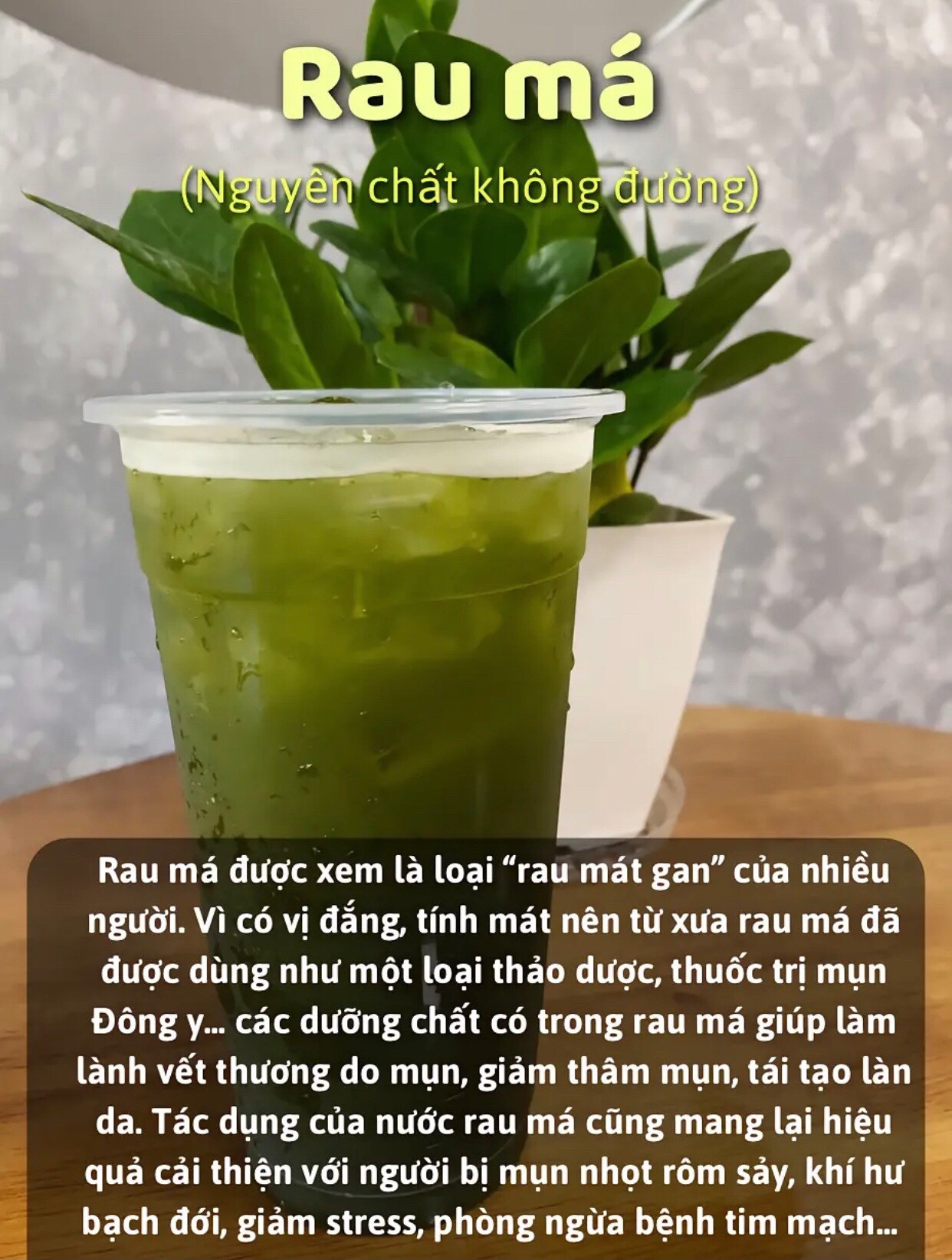 Tổng hợp các loại nước uống thanh mát, giải nhiệt và tốt cho sức khỏe như rau má, thạch găng, trà hoa cúc