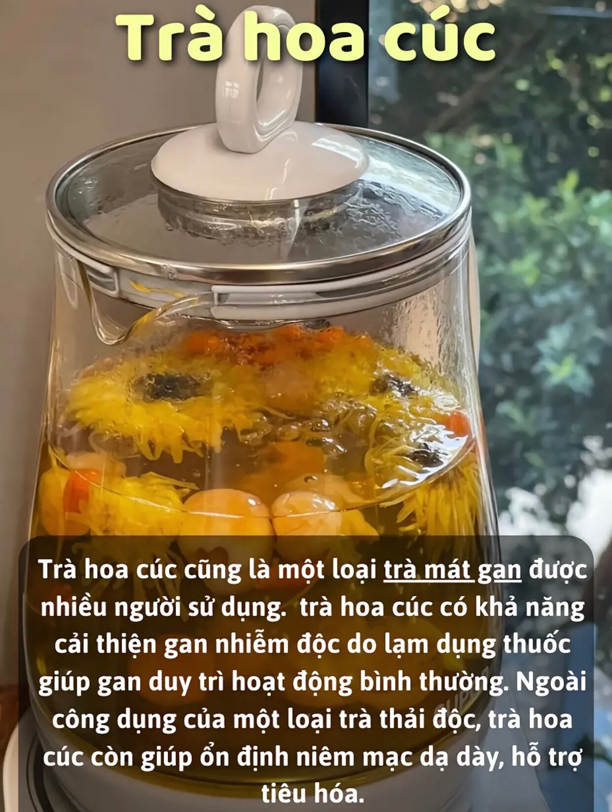 Tổng hợp các loại nước uống thanh mát, giải nhiệt và tốt cho sức khỏe như rau má, thạch găng, trà hoa cúc