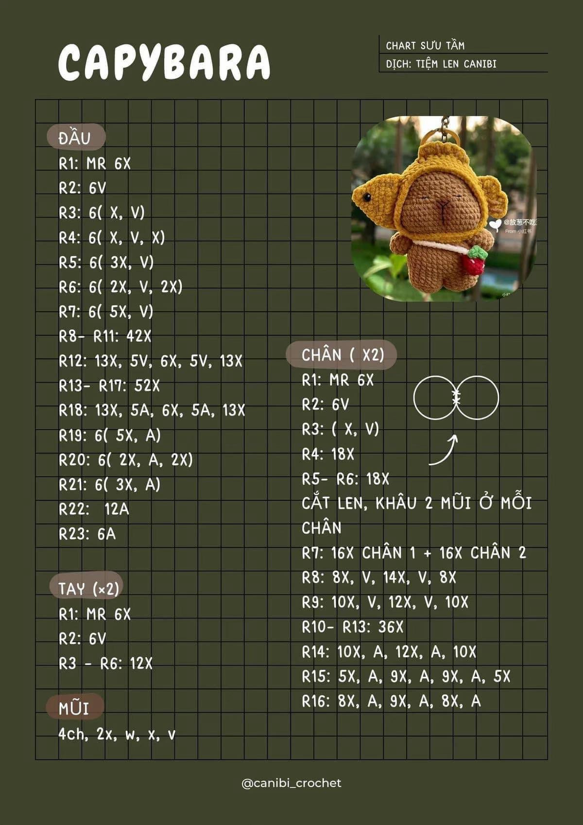 Tổng hợp các mẫu chart móc len Capybara (chuột lang nước) với nhiều phiên bản và phụ kiện khác nhau
