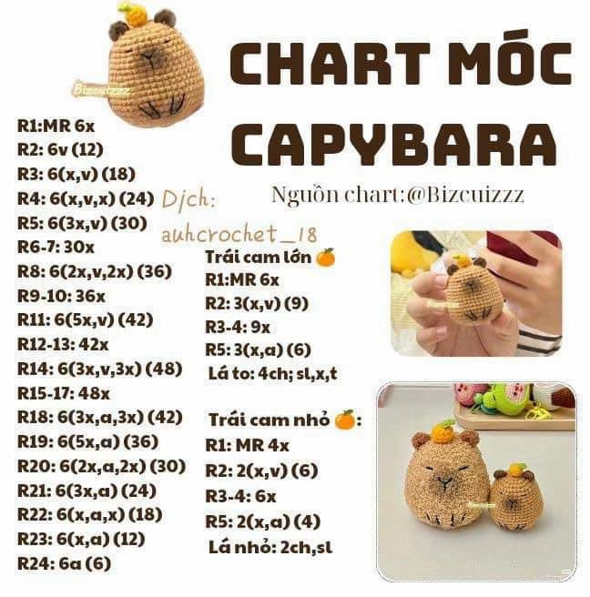 Tổng hợp các mẫu chart móc len Capybara (chuột lang nước) với nhiều phiên bản và phụ kiện khác nhau