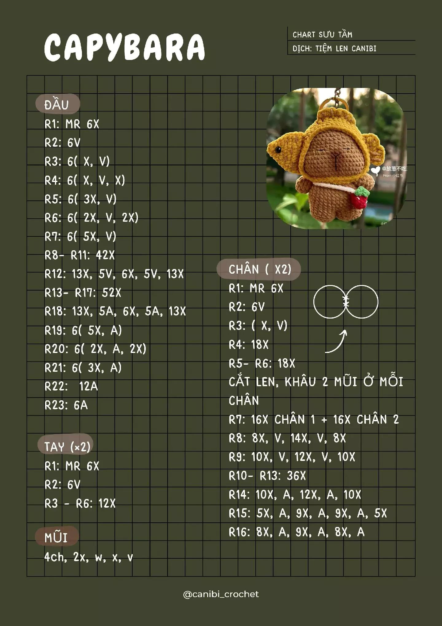 Tổng hợp các mẫu chart móc len Capybara: Công an, Bánh quy và Sấu Tầm