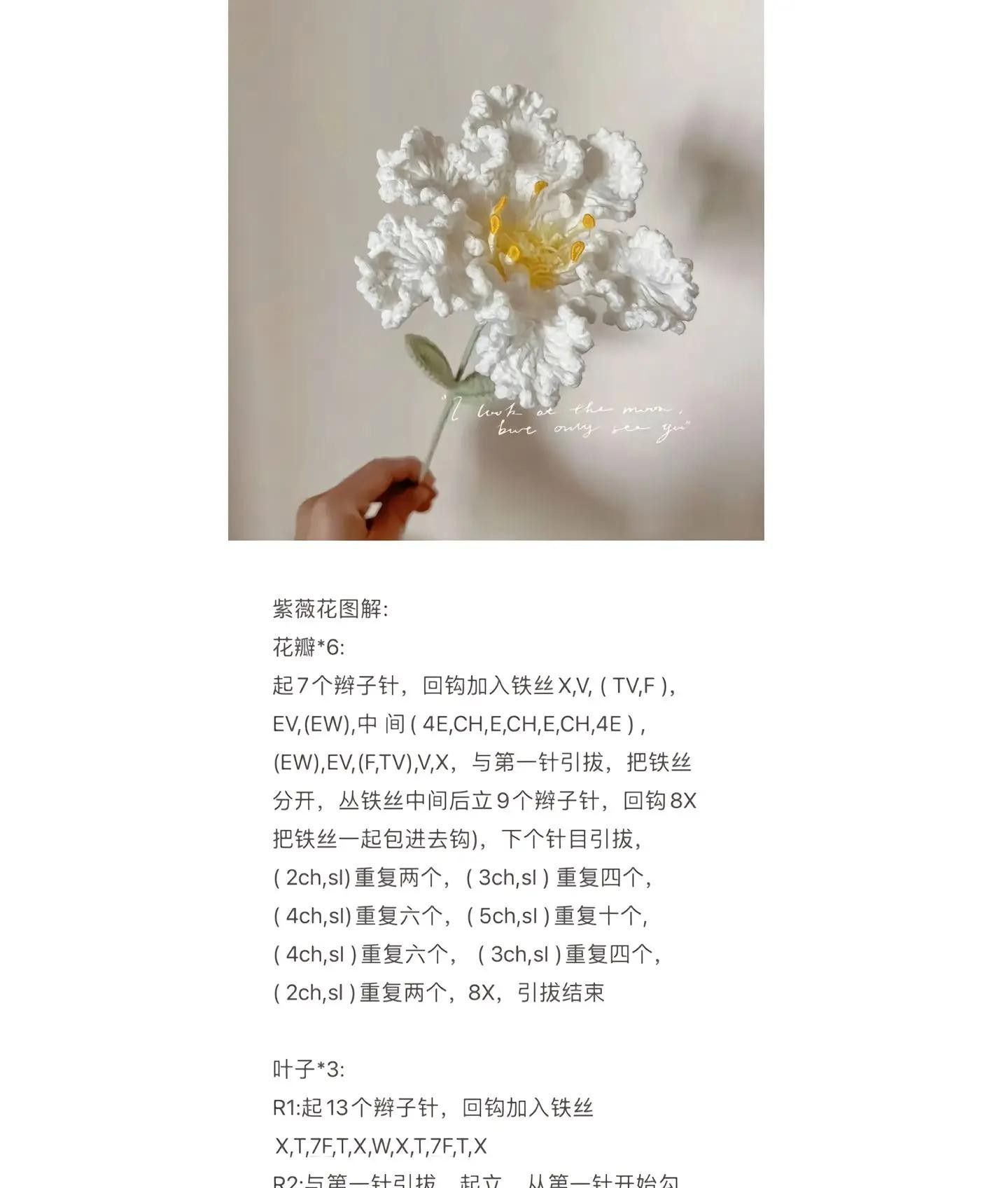 Tổng hợp chart móc len các loại hoa: Anh túc, Oải hương, Lavender, Tiểu Lily