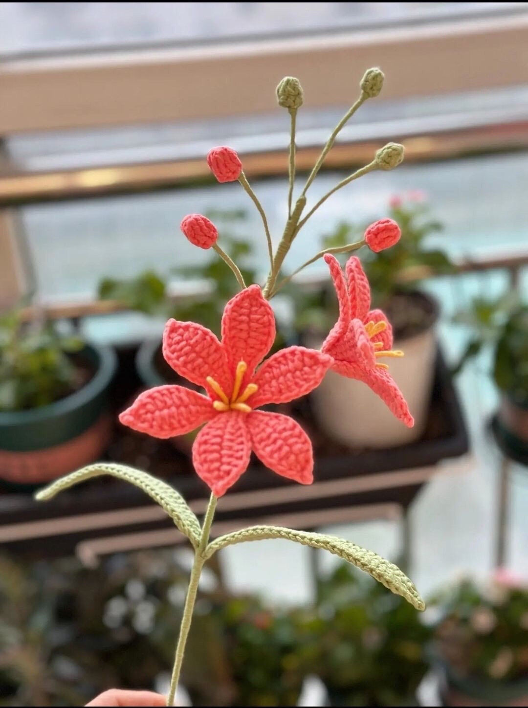 Tổng hợp chart móc len các loại hoa đẹp: Loa kèn Peru, Lan Hỏa Tinh, Cẩm Chướng