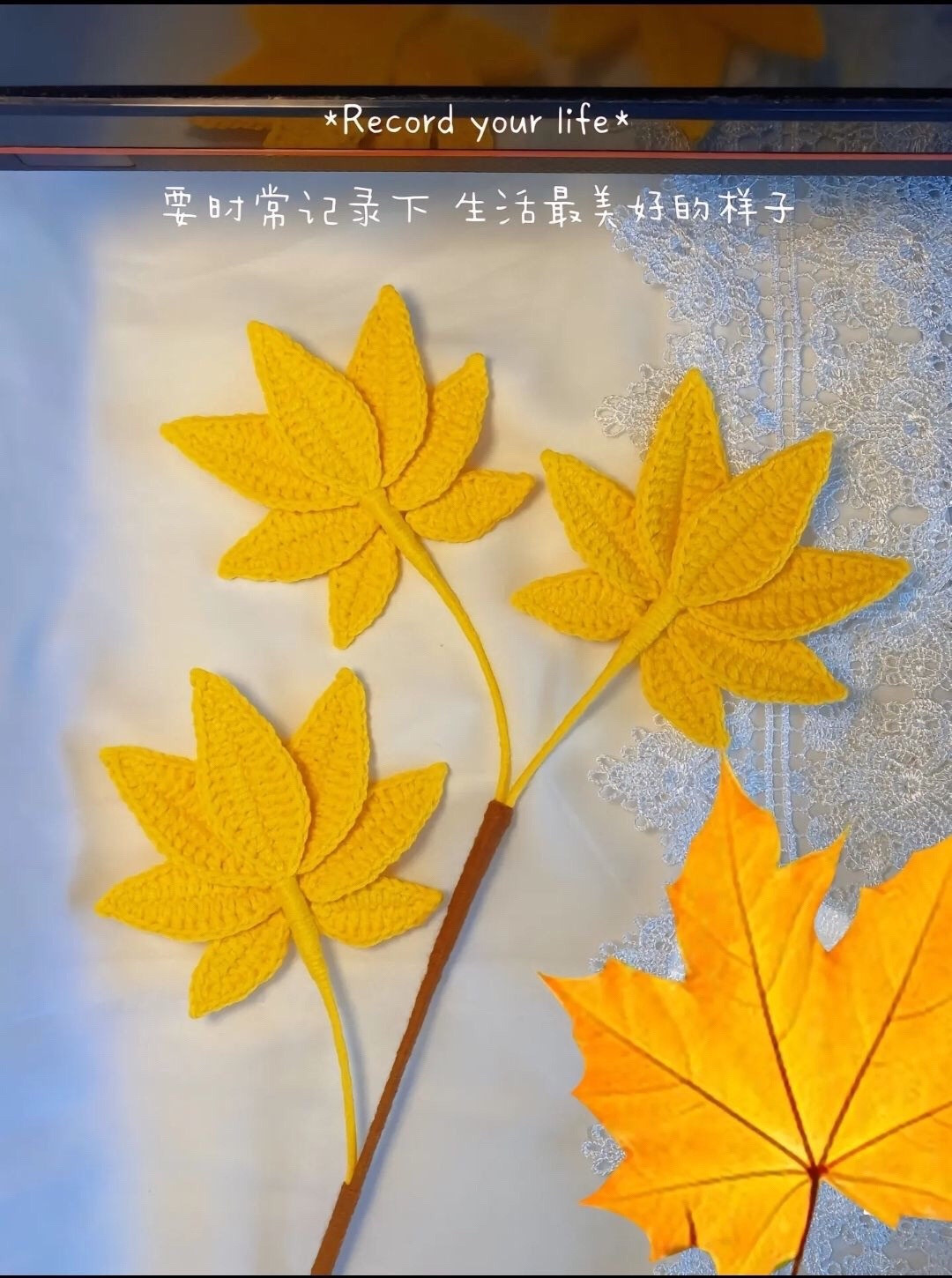 Tổng hợp chart móc len các loại hoa đẹp: Loa kèn Peru, Lan Hỏa Tinh, Cẩm Chướng