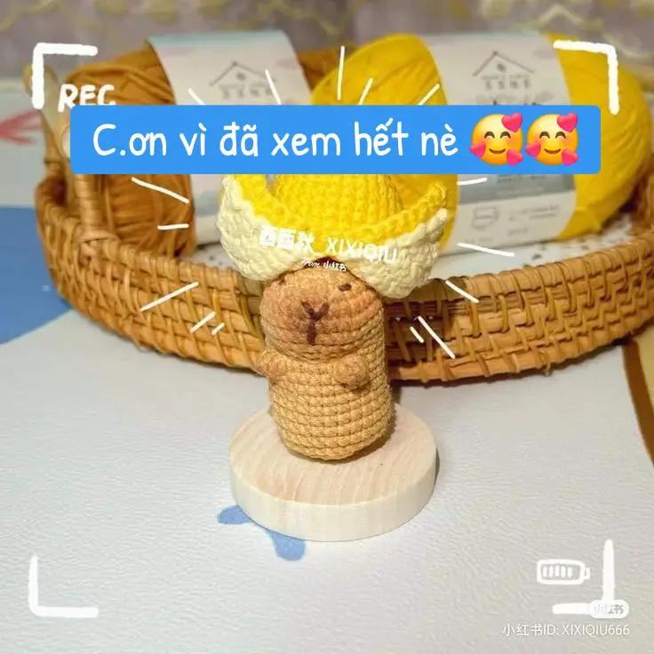 Tổng hợp chart móc len Capybara dễ thương: OUTFIT TRÁI THANH LONG, mũ Spiderman và các mẫu khác