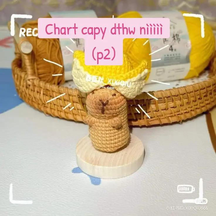 Tổng hợp chart móc len Capybara dễ thương: OUTFIT TRÁI THANH LONG, mũ Spiderman và các mẫu khác