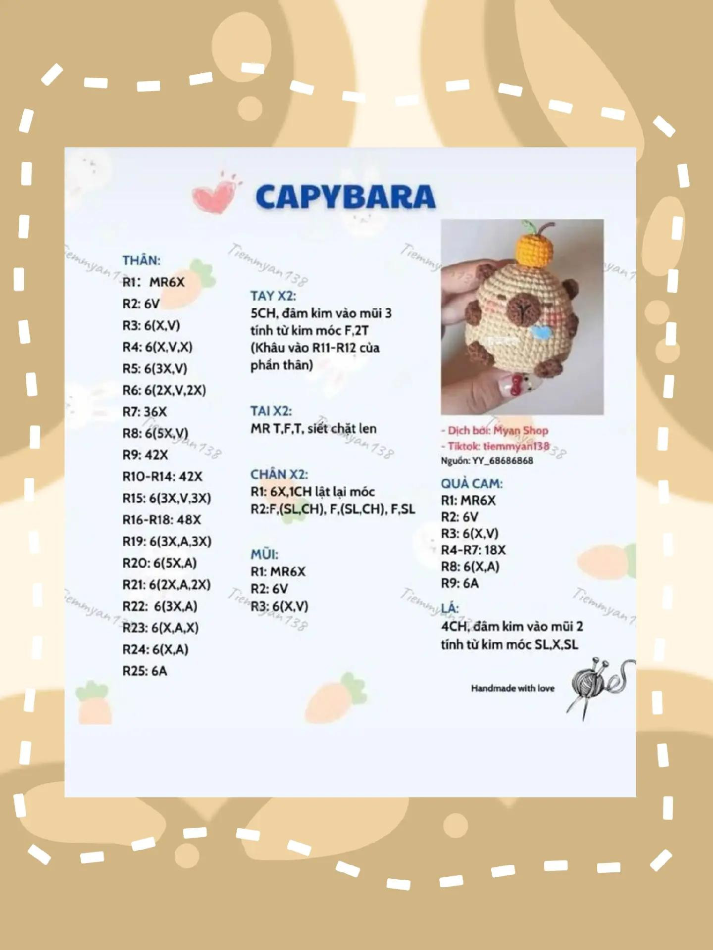 Tổng hợp chart móc len Capybara và Hoa mặt cười dễ thương