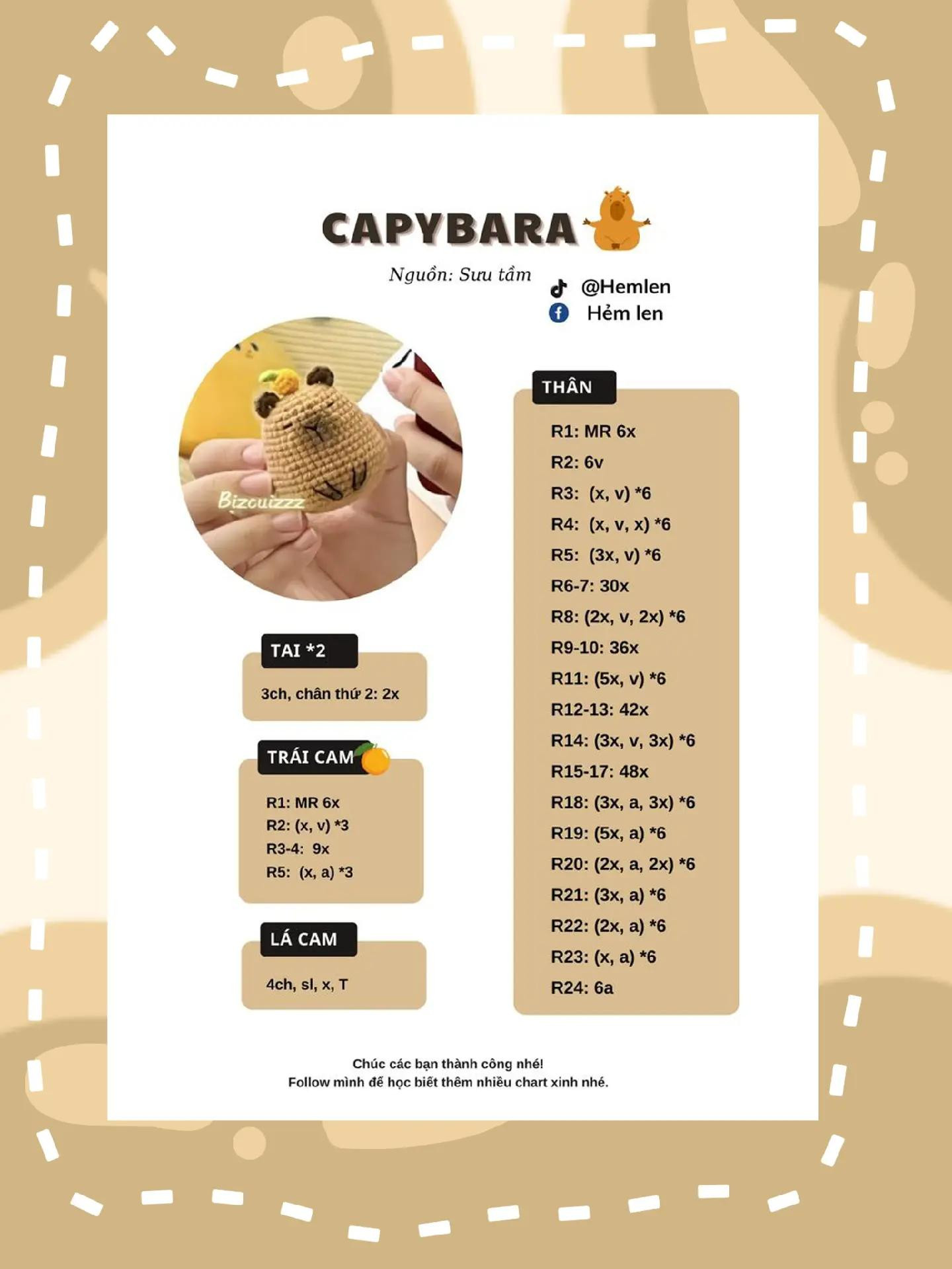 Tổng hợp chart móc len Capybara và Hoa mặt cười dễ thương