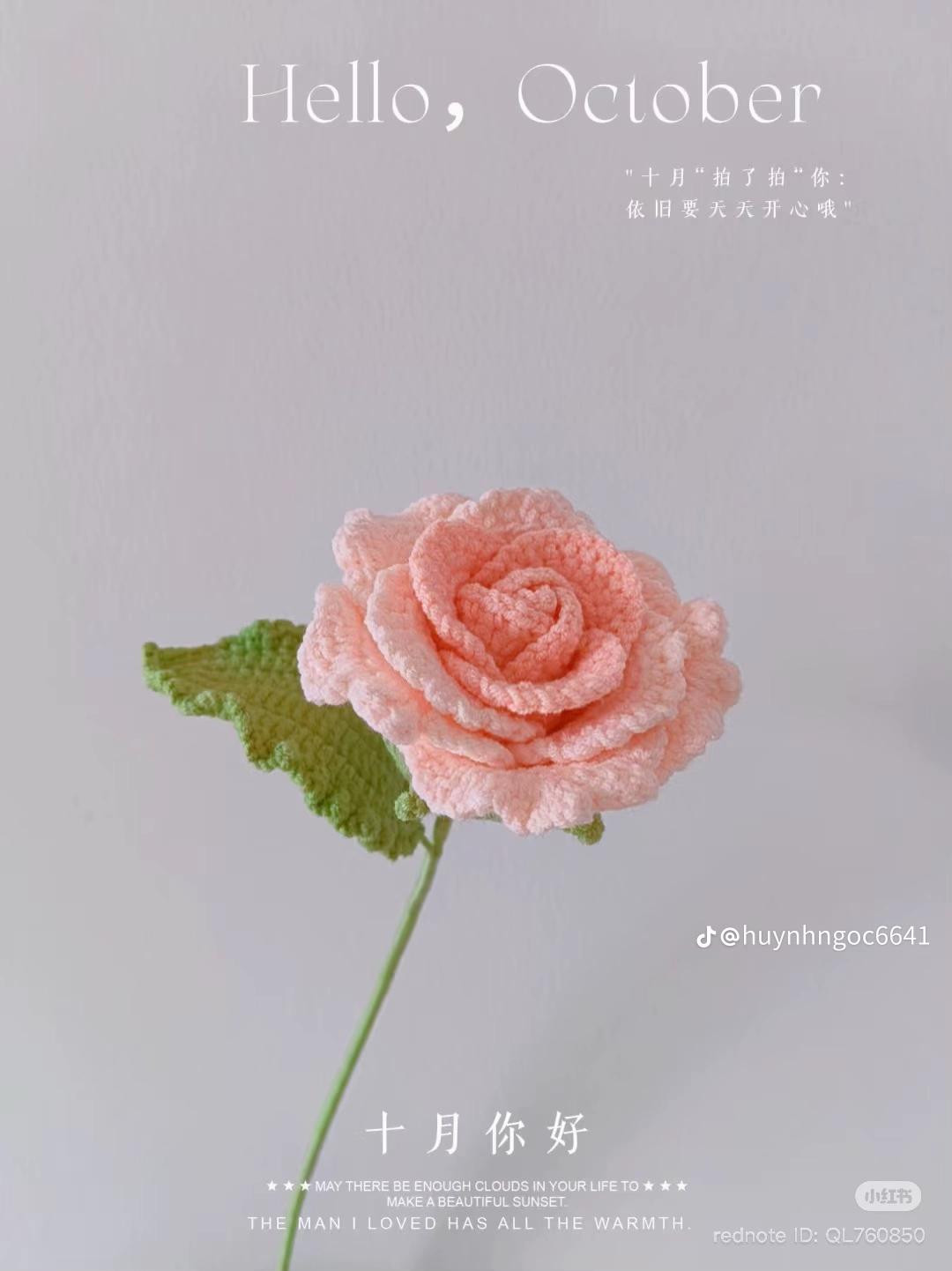 Tổng hợp chart móc len hoa: Hồng, Lan, Hướng dương