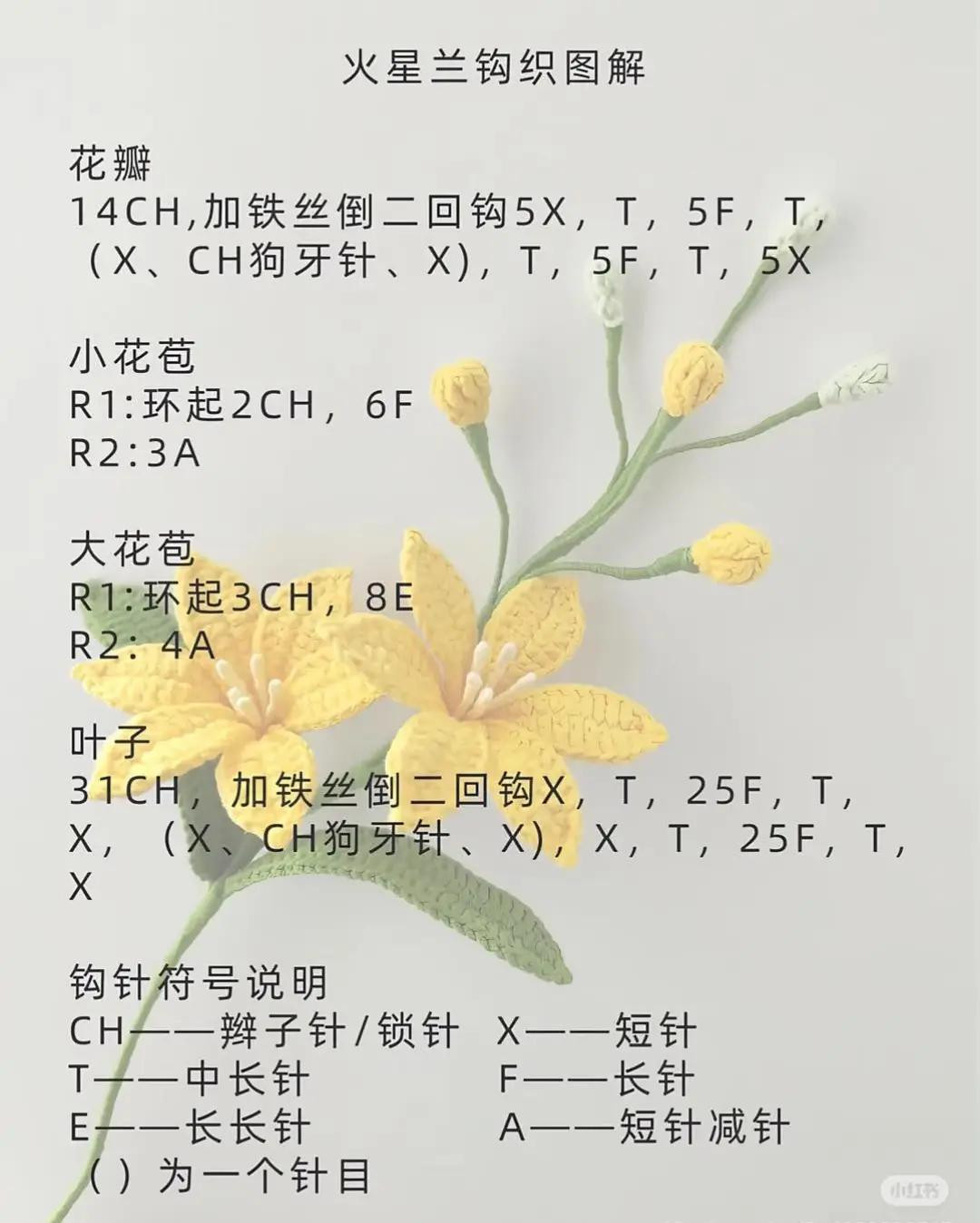 Tổng hợp chart móc len hoa: Hồng, Lan, Hướng dương