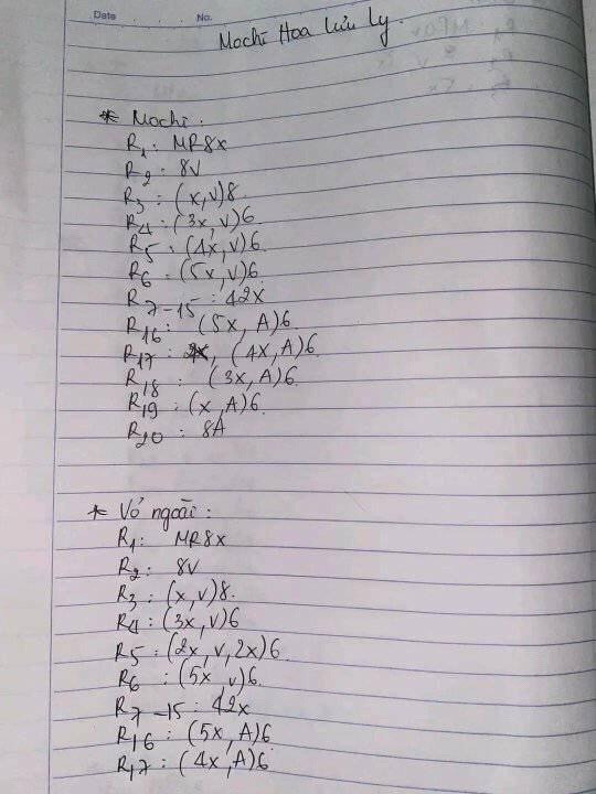 Tổng hợp chart móc len Mochi dễ thương: Hoa hướng dương, Gấu nhỏ và Trà sữa