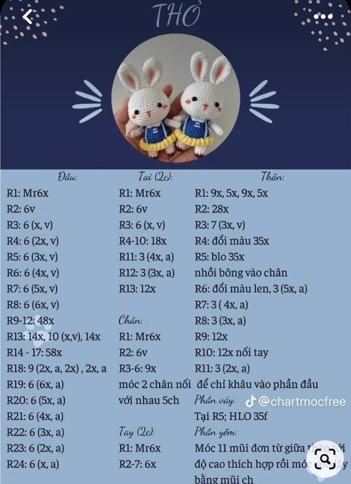 Tổng hợp chart móc thỏ dễ thương cầm cà rốt và mặc váy
