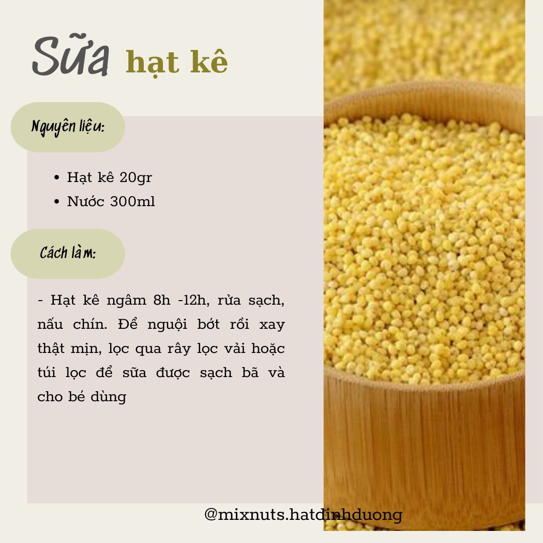 Tổng hợp công thức làm sữa hạt dinh dưỡng cho bé: yến mạch, gạo rang, kê, đậu xanh và hạt sen