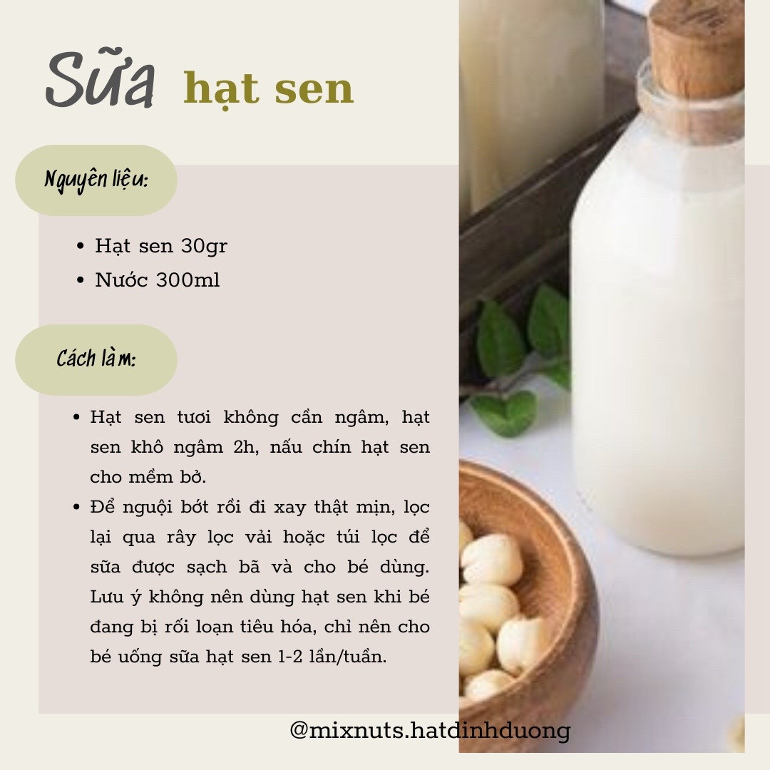 Tổng hợp công thức làm sữa hạt dinh dưỡng cho bé: yến mạch, gạo rang, kê, đậu xanh và hạt sen