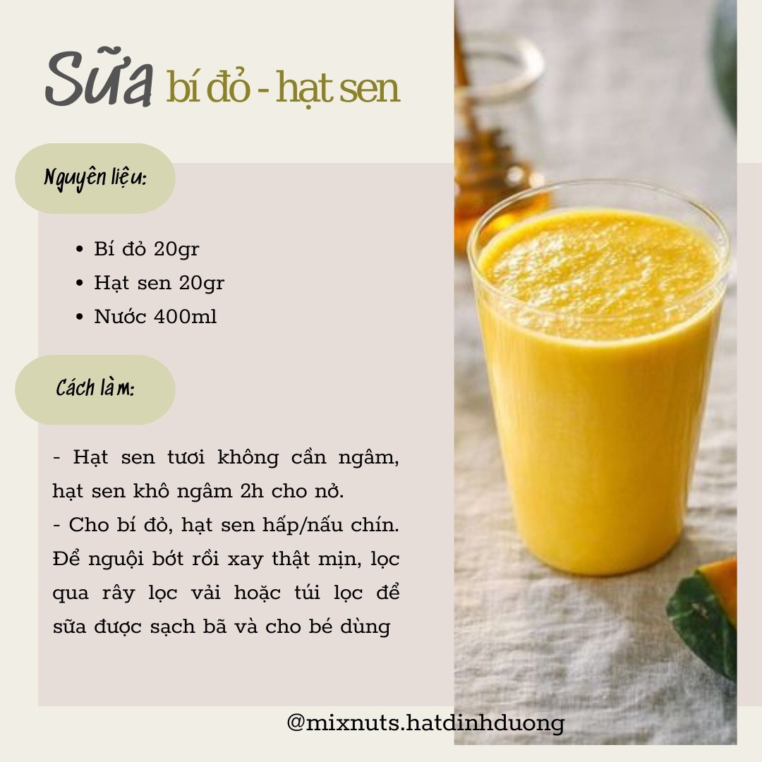 Tổng hợp công thức làm sữa hạt dinh dưỡng cho bé: yến mạch, gạo rang, kê, đậu xanh và hạt sen