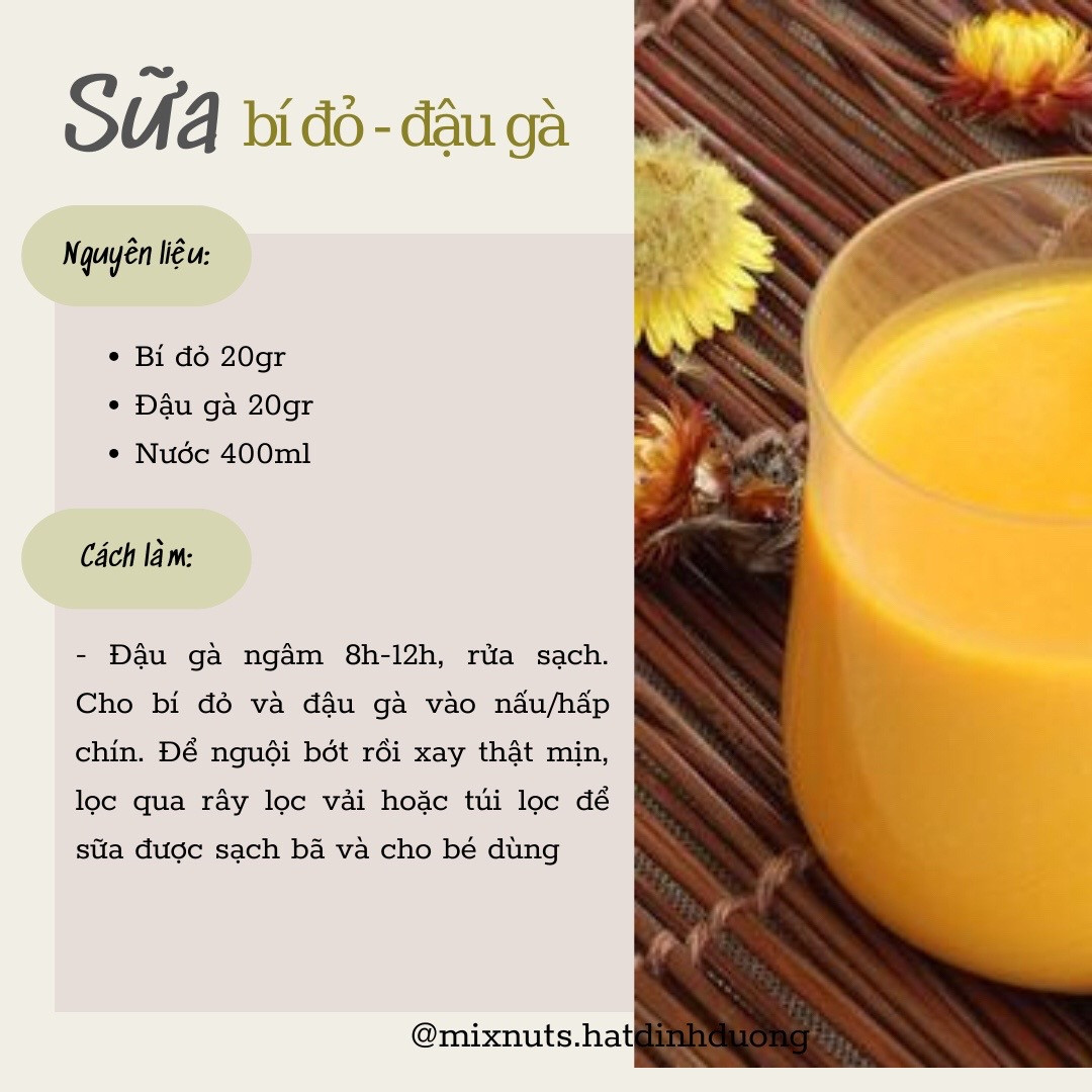 Tổng hợp công thức làm sữa hạt dinh dưỡng cho bé: yến mạch, gạo rang, kê, đậu xanh và hạt sen