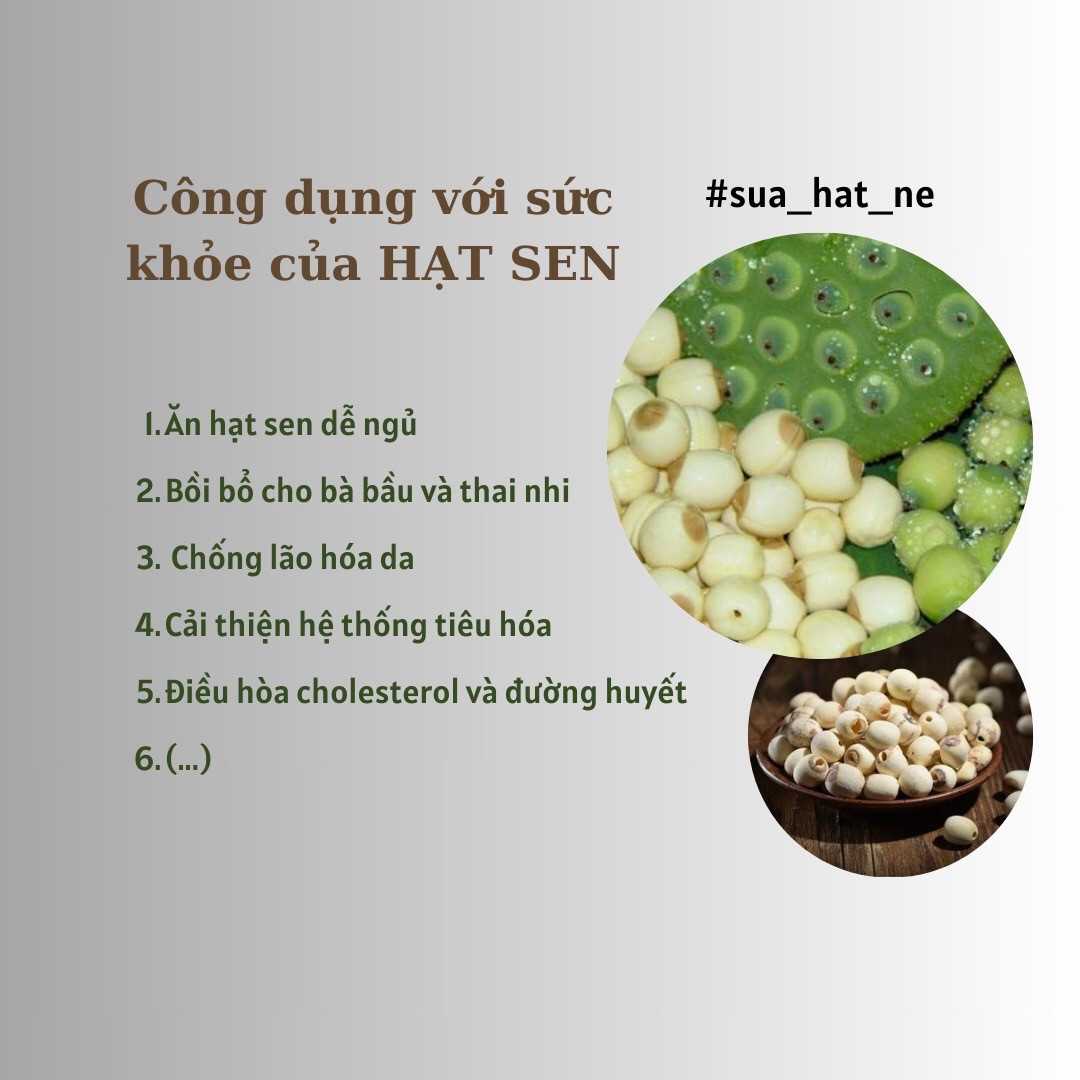 Tổng hợp công thức làm sữa hạt sen kết hợp ngô nếp, óc chó và bí đỏ cùng lợi ích sức khỏe