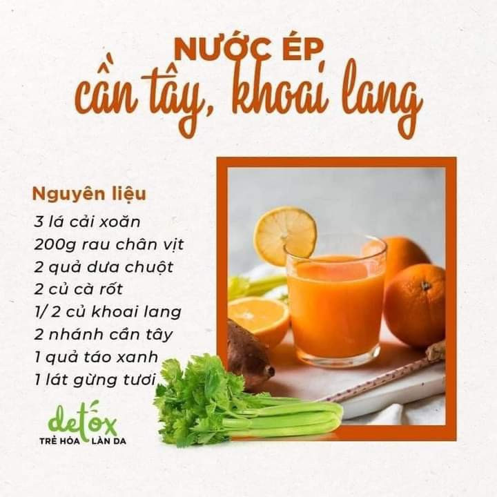 Tổng hợp công thức nước ép detox thanh lọc cơ thể với cần tây, táo, dưa chuột và các loại rau củ tươi ngon