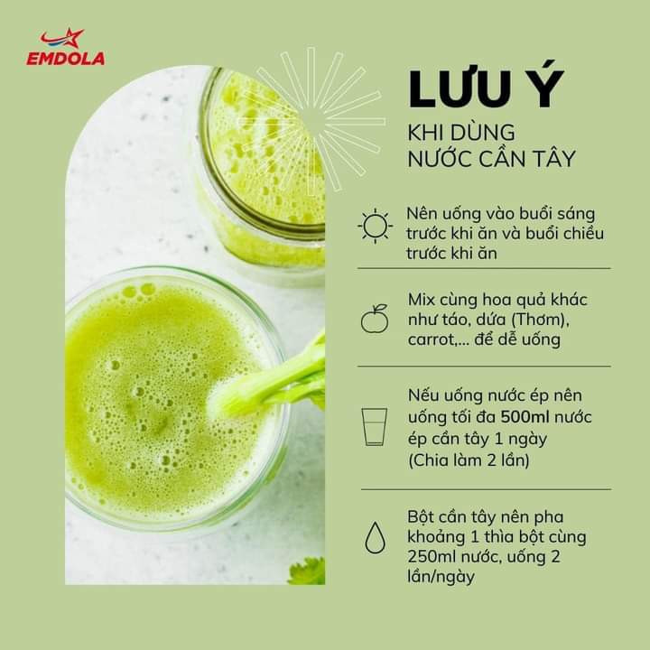 Tổng hợp công thức nước ép detox thanh lọc cơ thể với cần tây, táo, dưa chuột và các loại rau củ tươi ngon