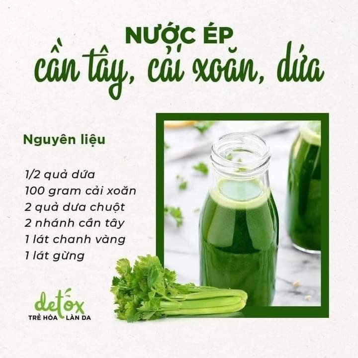 Tổng hợp công thức nước ép detox thanh lọc cơ thể với cần tây, táo, dưa chuột và các loại rau củ tươi ngon