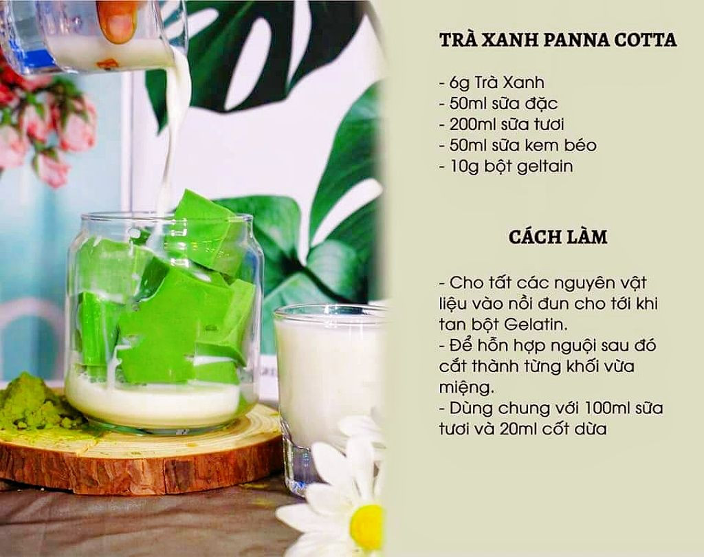Tổng hợp công thức pha chế đồ uống Matcha đa dạng: Sữa đậu nành nóng, đá xay, trà xanh chocolate, panna cotta và cà phê hazelnut