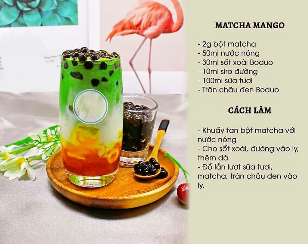 Tổng hợp công thức pha chế đồ uống Matcha đa dạng: Sữa đậu nành nóng, đá xay, trà xanh chocolate, panna cotta và cà phê hazelnut