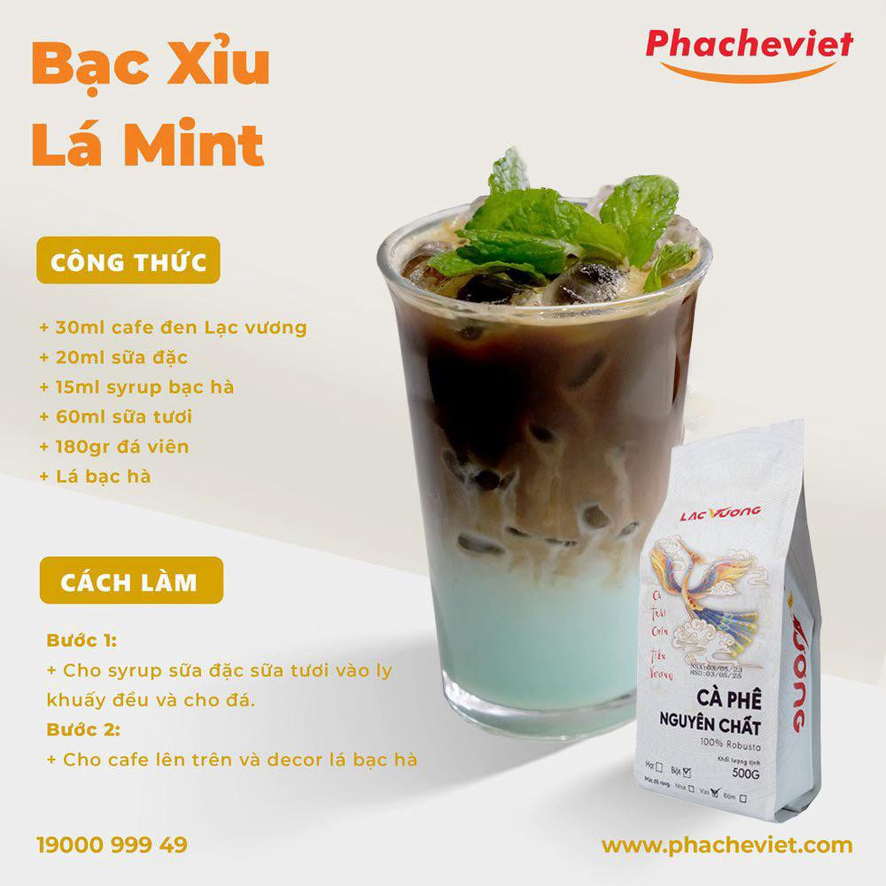 Tổng hợp công thức pha chế đồ uống ngon: Matcha Sữa Gấu, Cacao Kem Sữa, Bạc Xỉu Lá Mint và Matcha Kem Sữa
