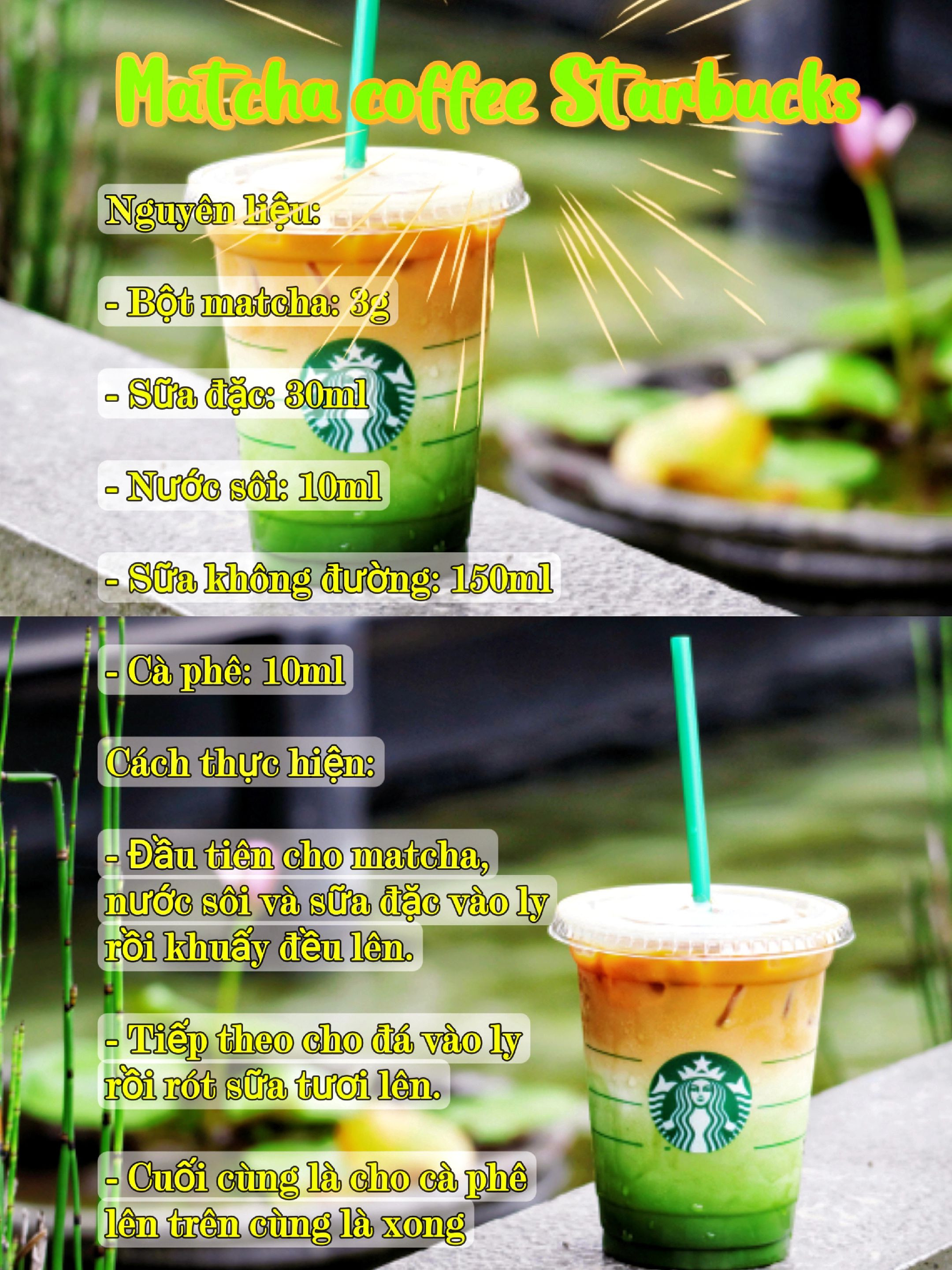 Tổng hợp công thức pha chế đồ uống nổi tiếng: Trà sen vàng, Trà đào Highlands, Matcha Coffee Starbucks và Đá xay Xoài Latte
