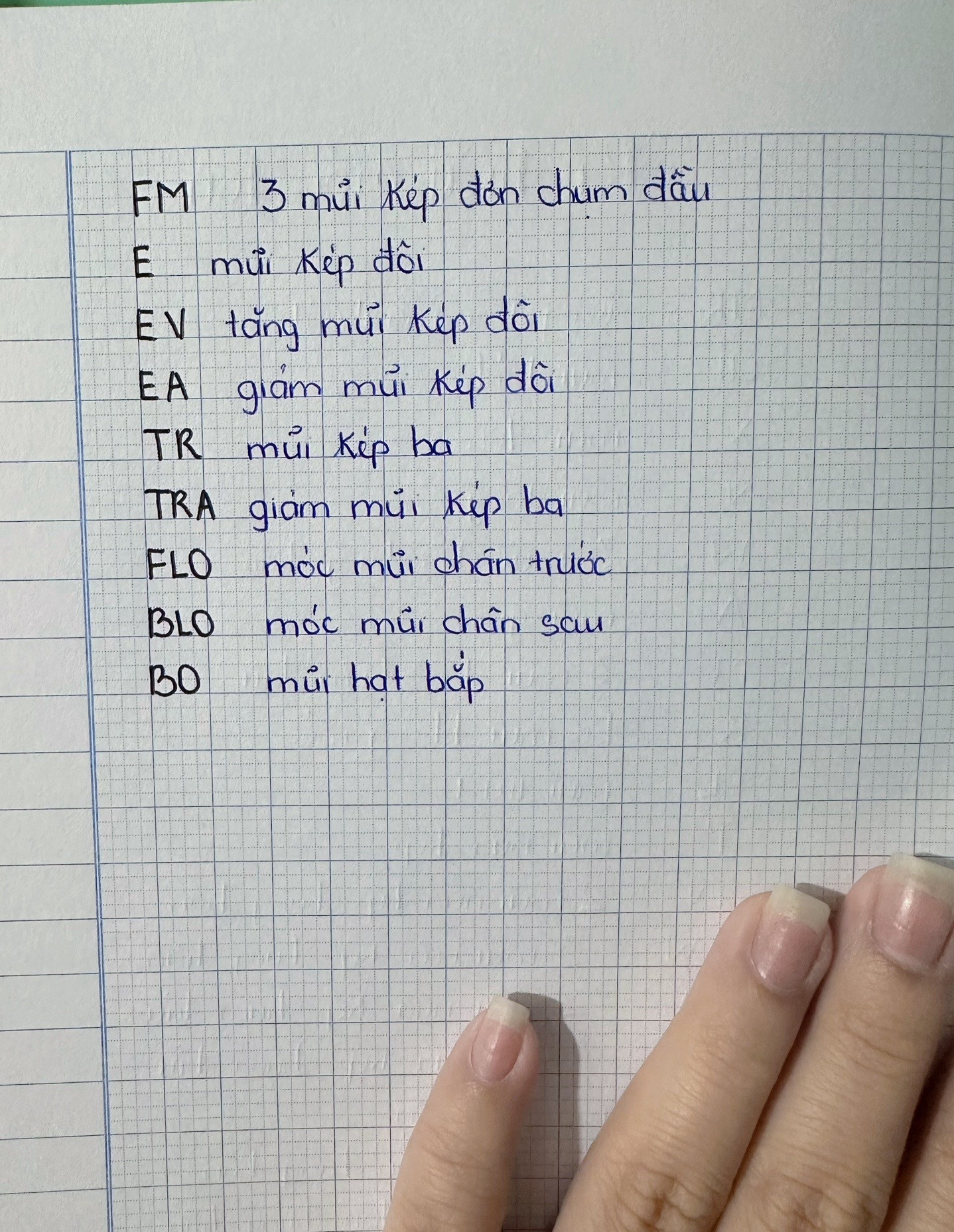 Tổng hợp ký hiệu móc len: Bảng tra cứu các mũi cơ bản và nâng cao