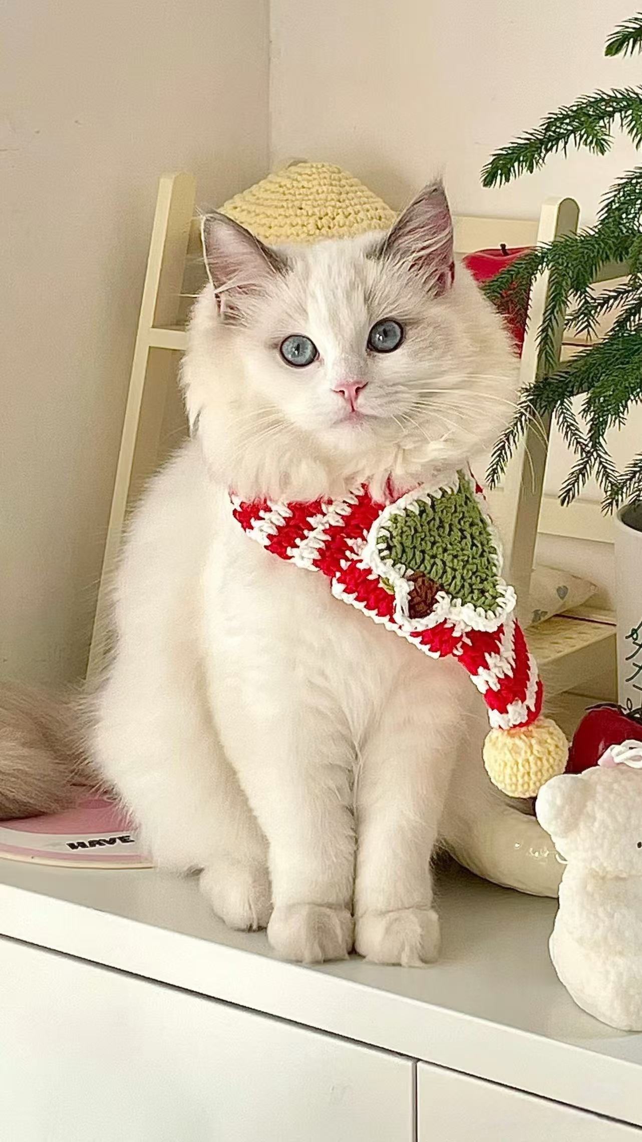 Tutorial Móc Len Khăn Cho Mèo Chủ Đề Giáng Sinh