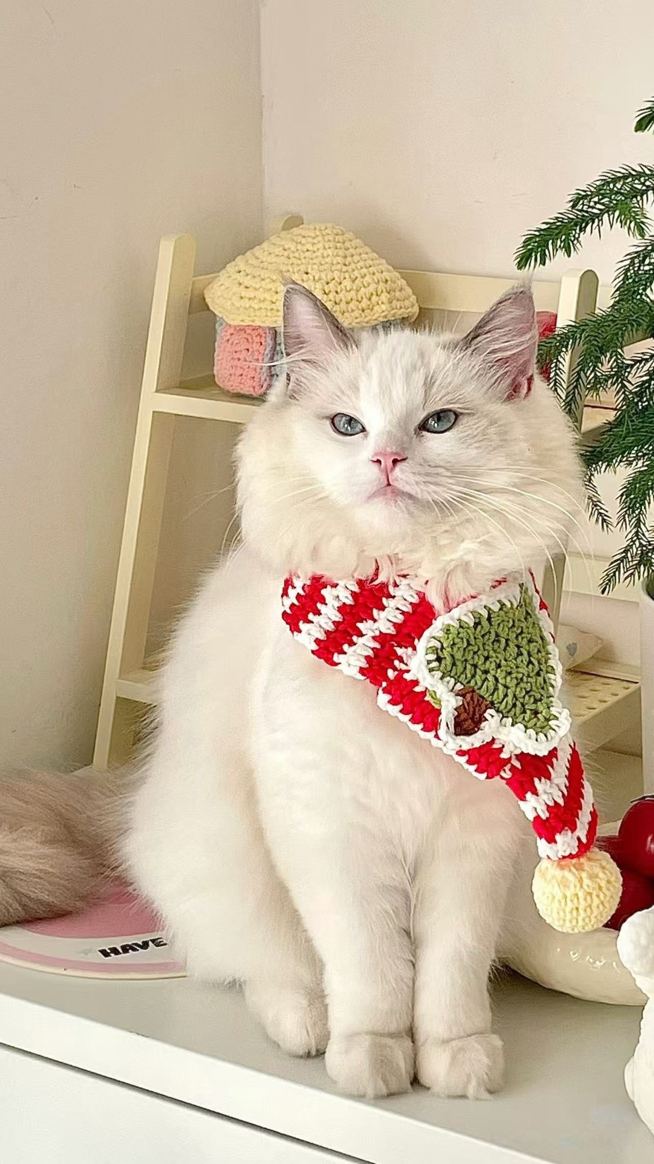 Tutorial Móc Len Khăn Cho Mèo Chủ Đề Giáng Sinh