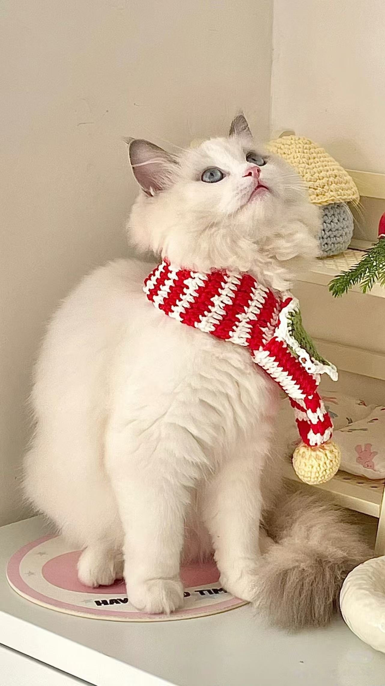 Tutorial Móc Len Khăn Cho Mèo Chủ Đề Giáng Sinh