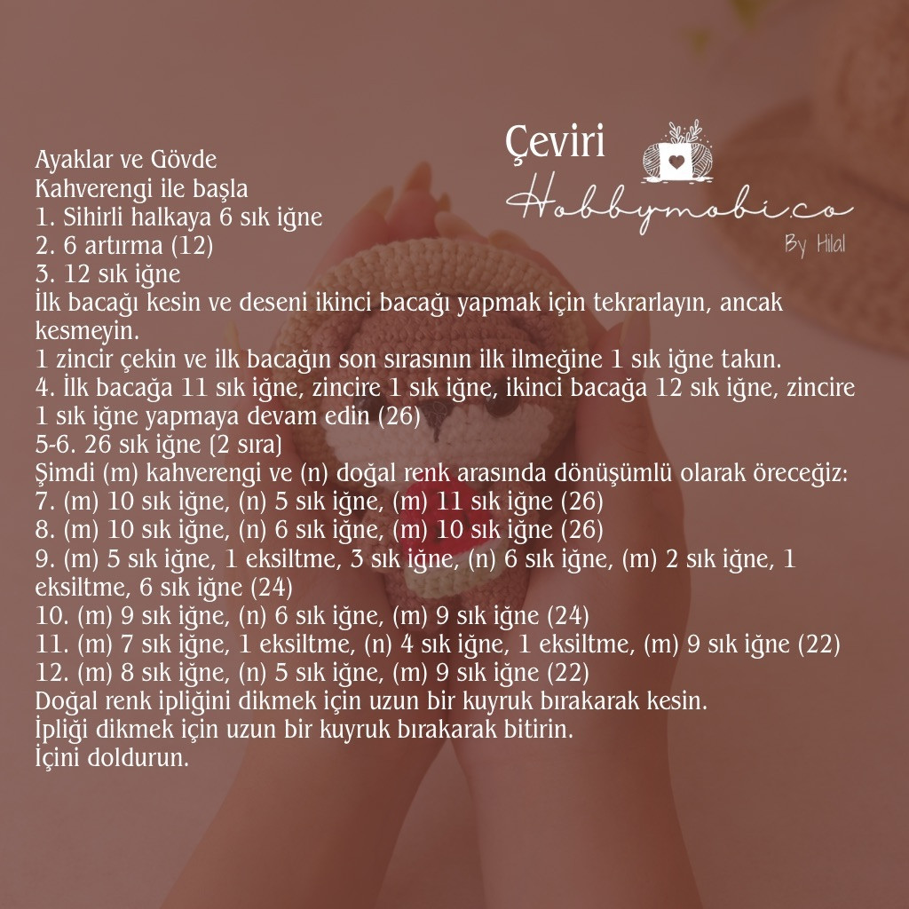 Ücretsiz Tarif: Mocha Squirrel Amigurumi with Watermelon and Hat - Free Crochet Pattern