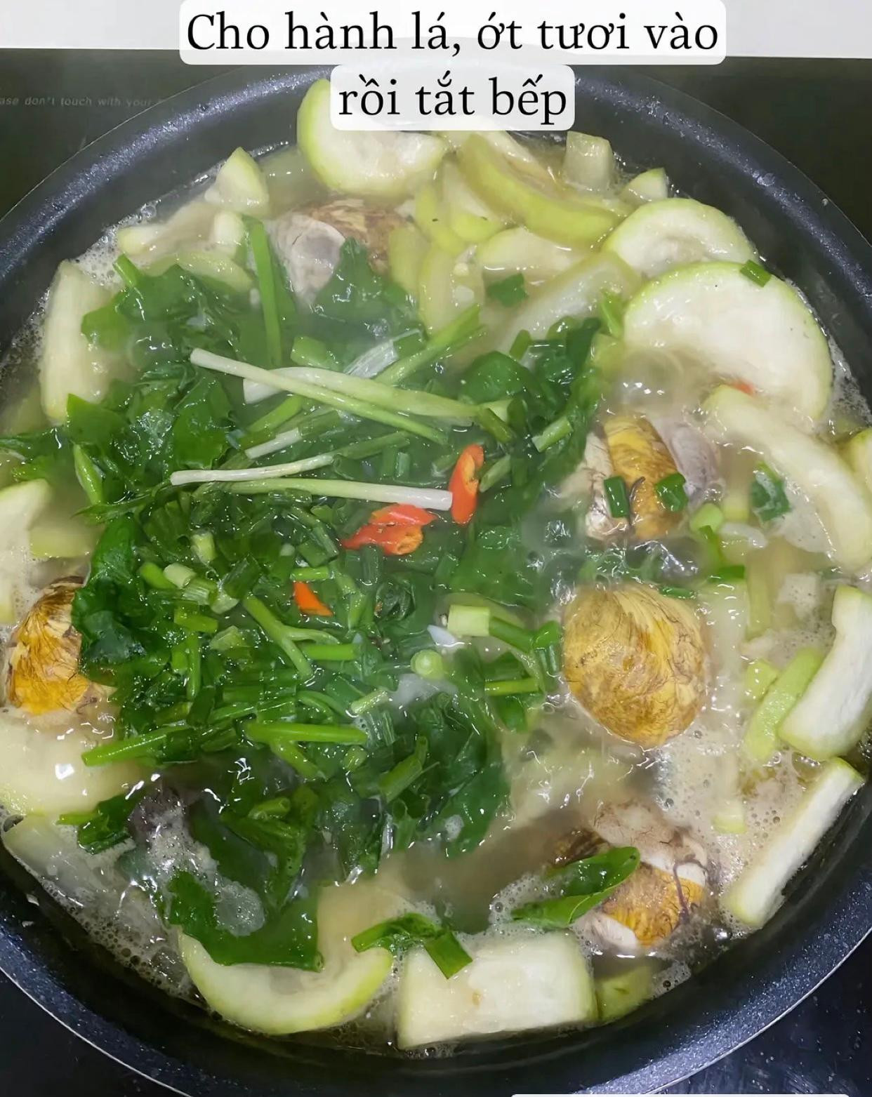 Vịt Lộn Um Bầu: Cách làm món vịt lộn nấu bầu thơm ngon, bổ dưỡng và dễ thực hiện tại nhà