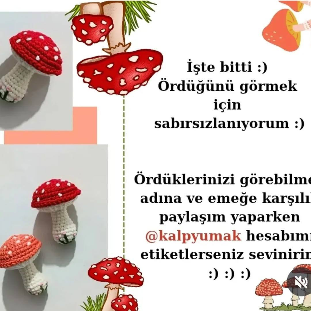 Birlikte Mantar Örüyorum - Amigurumi Mantar Anahtarlık Örgü Tarifi