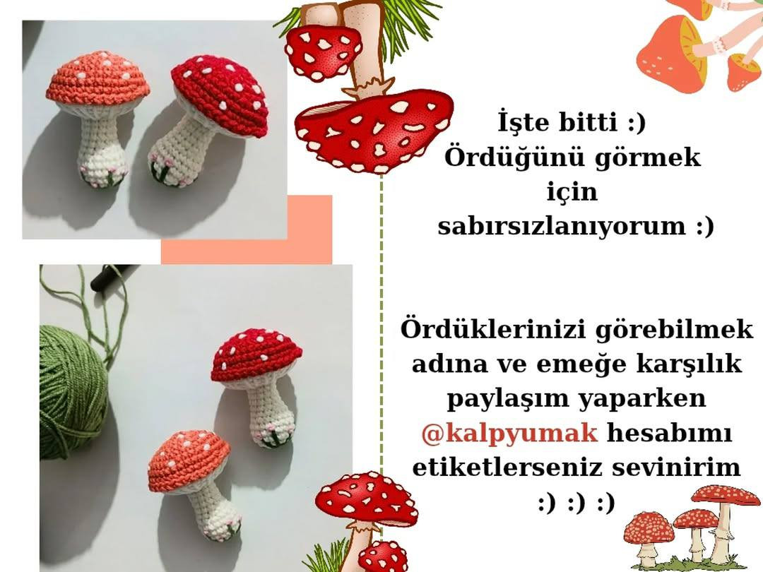 Birlikte Mantar Örüyorum - Amigurumi Mantar Anahtarlık Örgü Tarifi