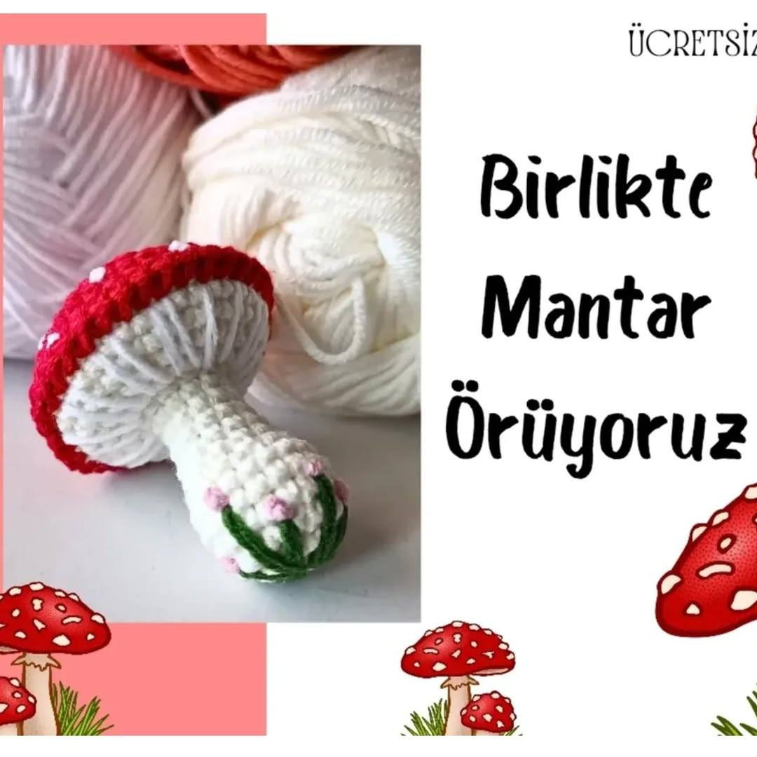 Birlikte Mantar Örüyorum - Amigurumi Mantar Anahtarlık Örgü Tarifi