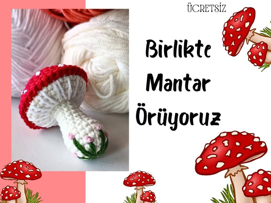 Birlikte Mantar Örüyorum - Amigurumi Mantar Anahtarlık Örgü Tarifi