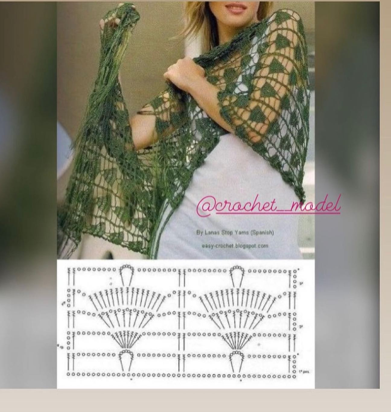 Crochet Shawl and Scarf Flat Charts with Patterns