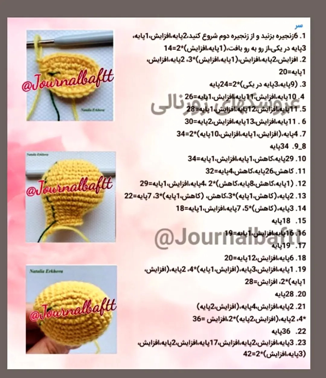 دستور بافت اردک زرد و صدف رنگی