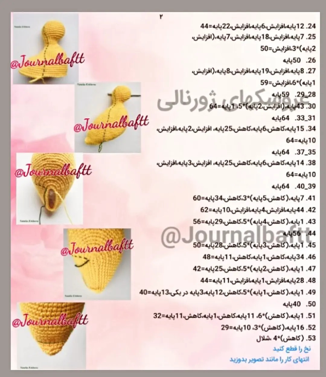 دستور بافت اردک زرد و صدف رنگی