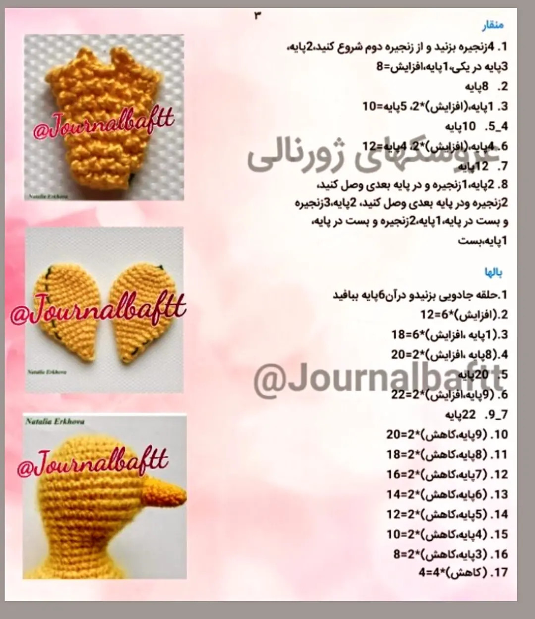 دستور بافت اردک زرد و صدف رنگی