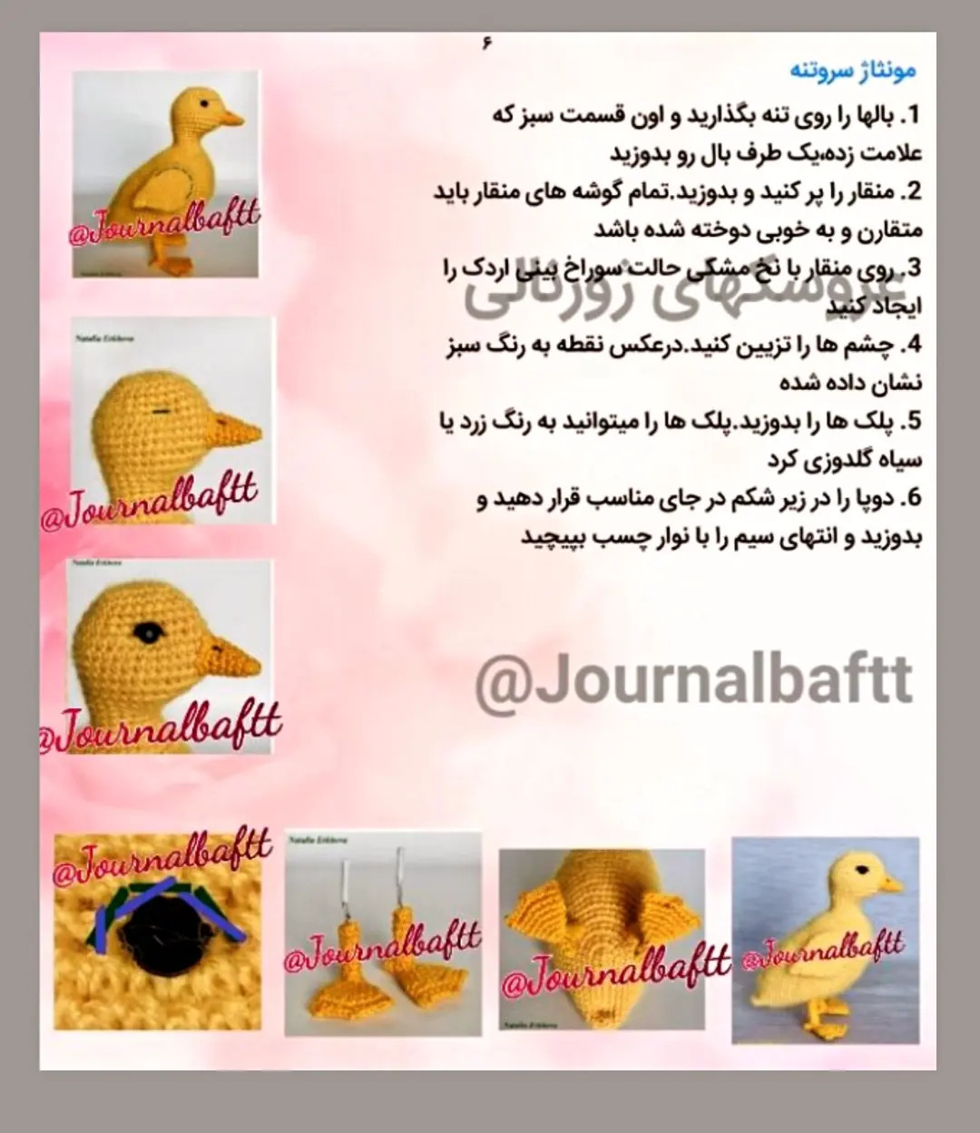 دستور بافت اردک زرد و صدف رنگی