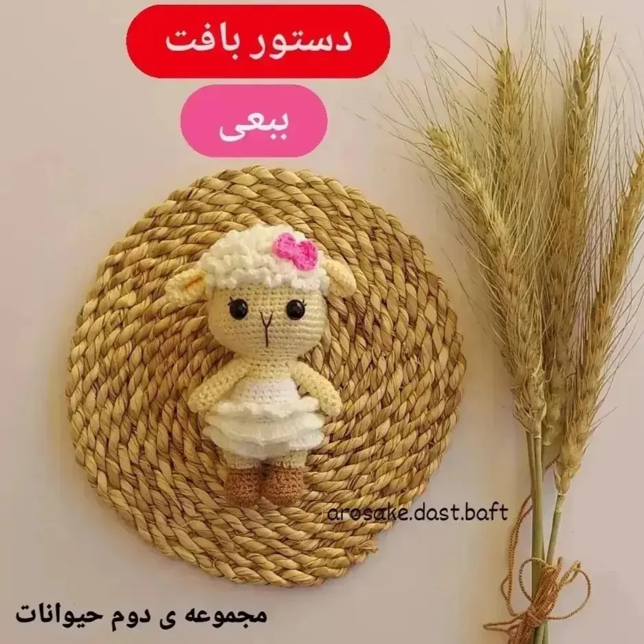 دستور بافت ببعی (گوسفند) - مجموعه دوم حیوانات