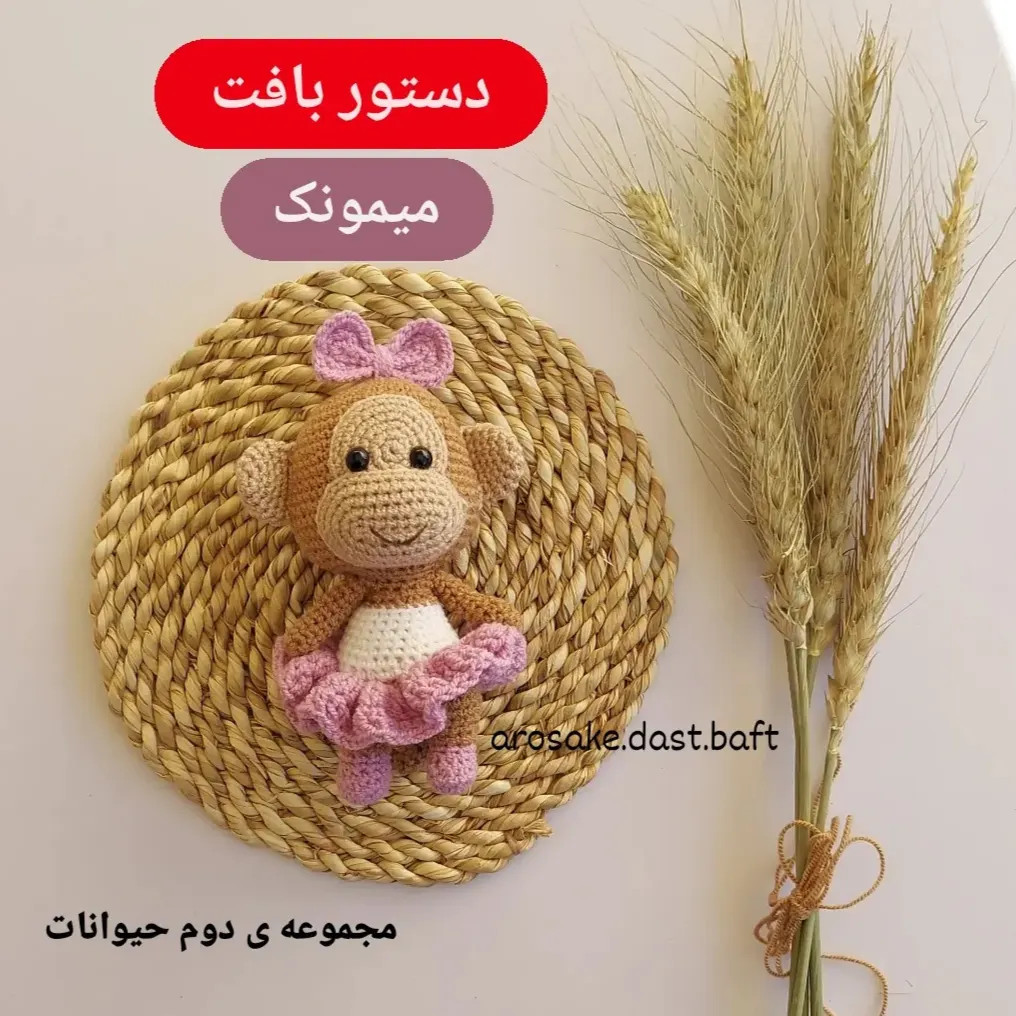 دستور بافت میمونک (میمون) - مجموعه دوم حیوانات