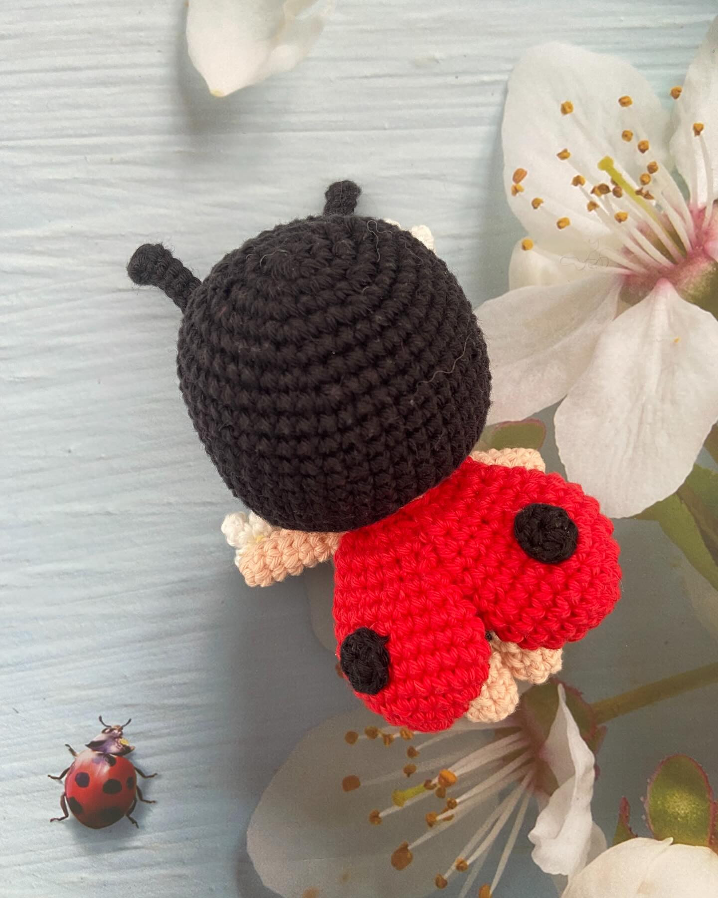 Free Crochet Amigurumi Ladybug Doll Pattern - Part 1 Materials & Intro
