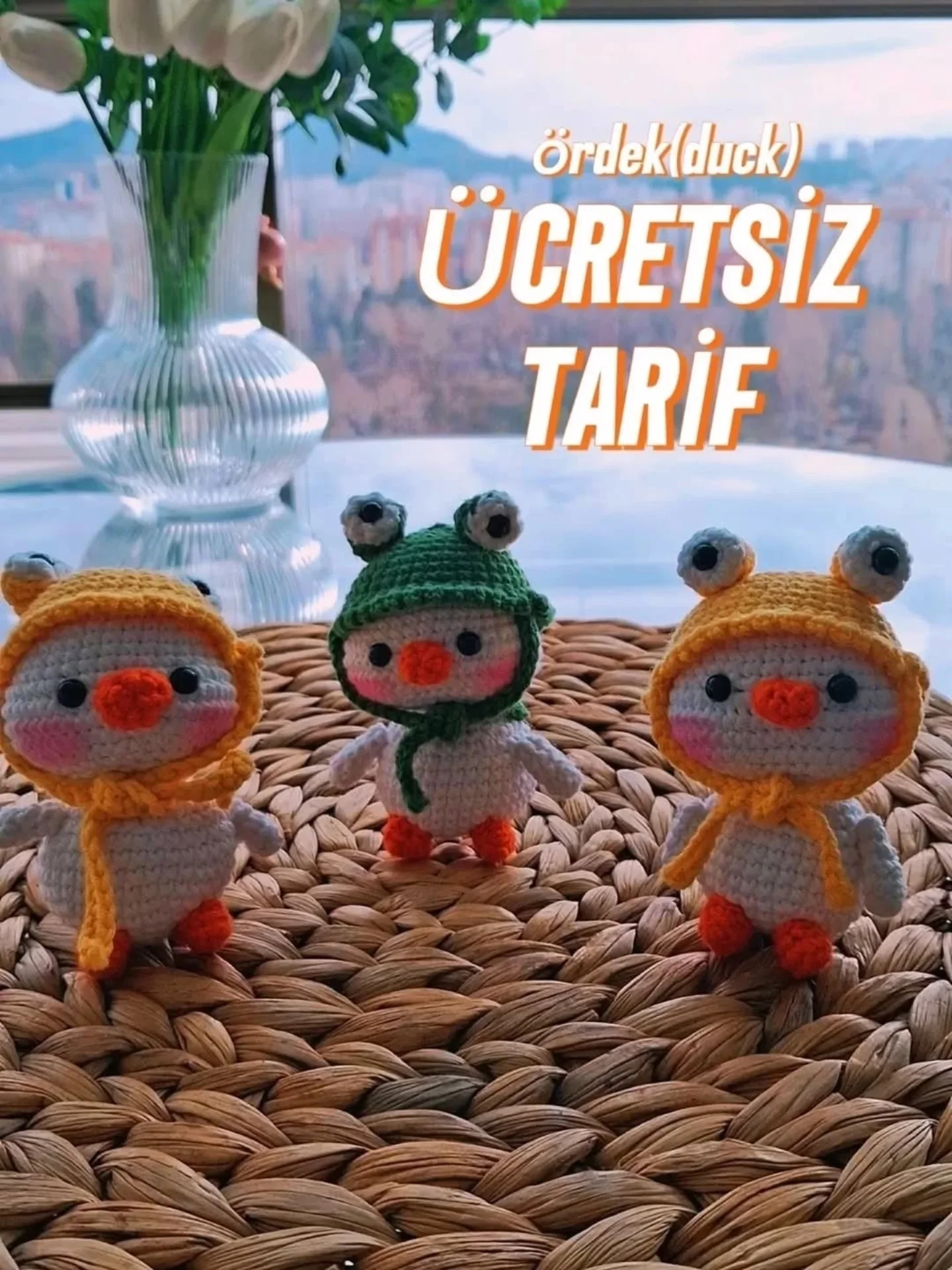 Free Crochet Duck Amigurumi Pattern with Handwritten Instructions for Body, Head, Hat and Eyes