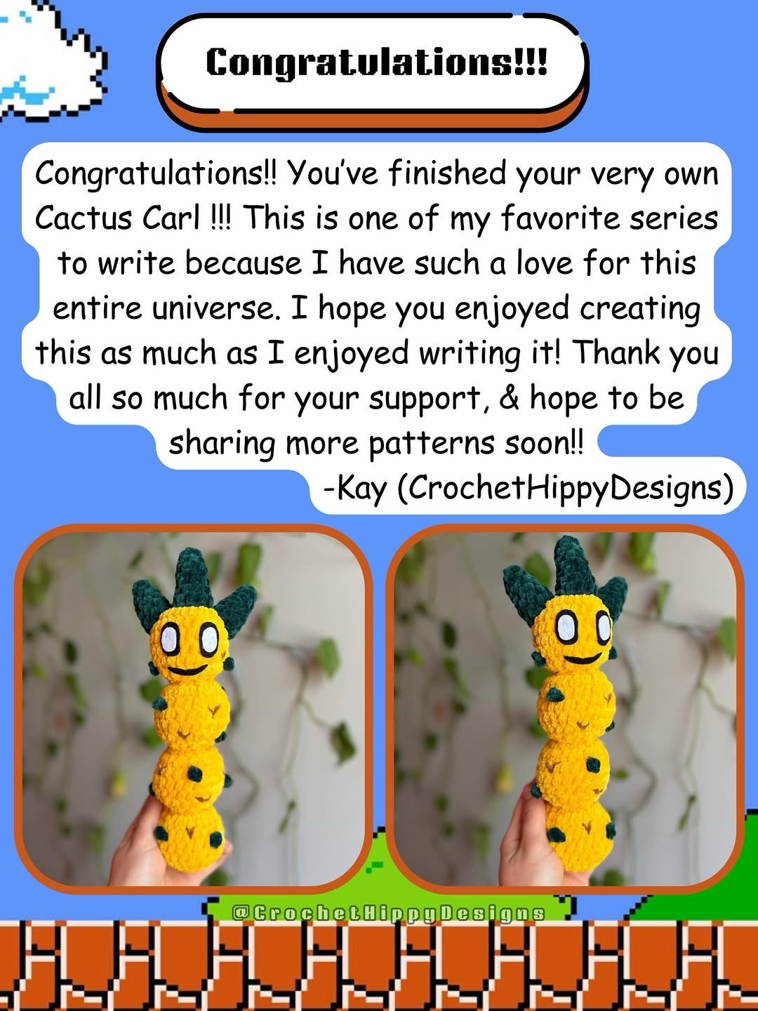 Free Crochet Pattern: Cactus Carl - Amigurumi Doll by CrochetHippyDesigns